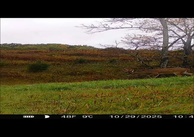 Homes for sale in Berry, KY | 359 Ky Hwy 1284, Berry, KY 41003 | MLS# 26013929