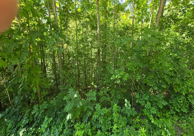 Homes for sale in Burnside, KY | 0, Lot 1 Roberts Bend Rd, Burnside, KY 42519 | MLS# 26013991