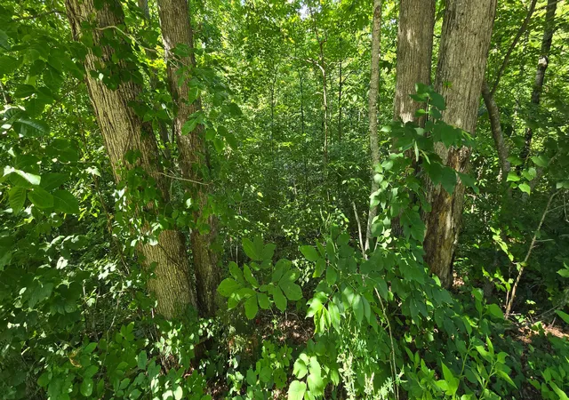 Photo 3 of Land for sale at 2082 Roberts Bnd Rd, Burnside, KY 42519 | MLS# 26013991 | Listing updated on 2026-06-23