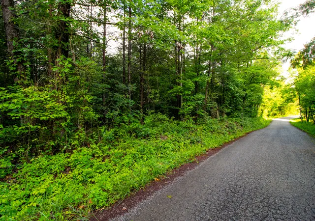 Homes for sale in Williamsburg, KY | 9999 Brooks Rd Rd, Williamsburg, KY 40769 | MLS# 26014378