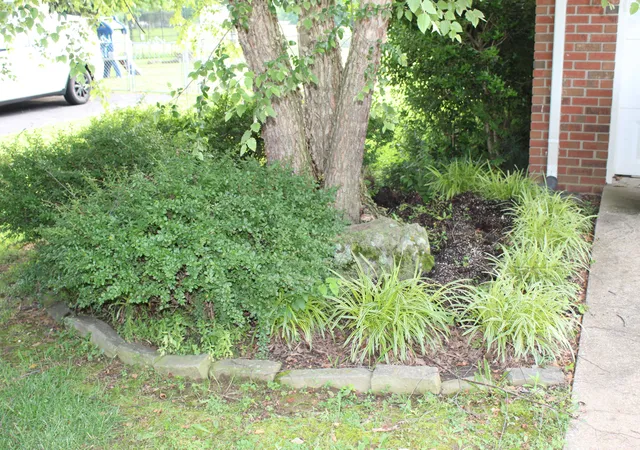 43rd image of 245 County Line Road Road, Paducah, KY 42003 | MLS# 26015362