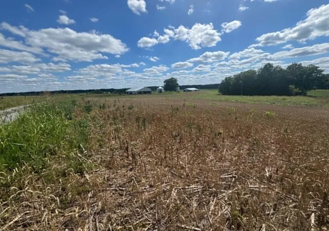 1st image of Lot 4 Willis Rd, Columbia, KY 42728 | MLS# 26013946