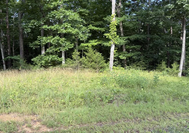 Homes for sale in Monticello, KY | 132 W West Willow Point Rd, Monticello, KY 42633 | MLS# 26013955