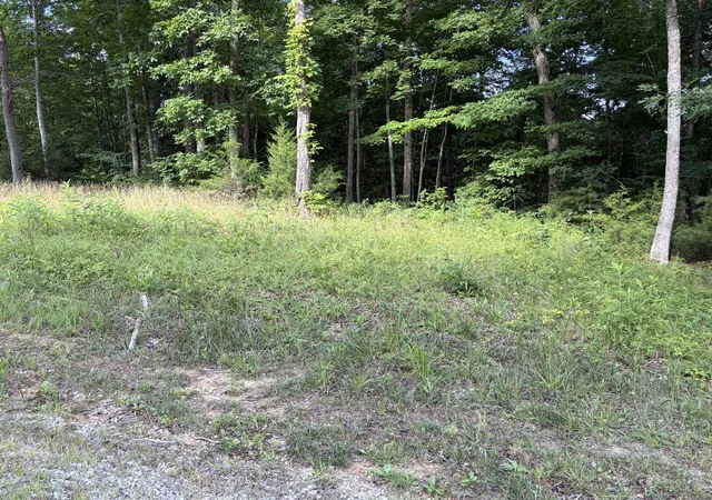 Homes for sale in Monticello, KY | 132 W West Willow Point Rd, Monticello, KY 42633 | MLS# 26013955