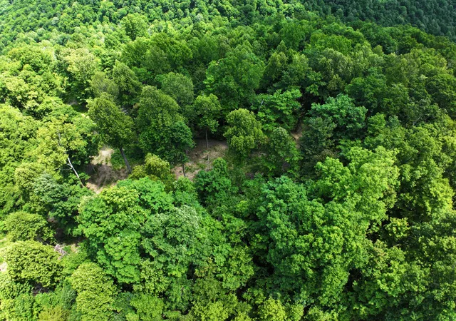 12th image of Lot 1 11 0 Happy Top Rd Rd, Irvine, KY 40336 | MLS# 26013971