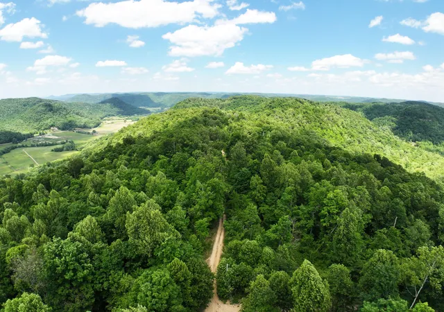 1st image of Lot 1 11 0 Happy Top Rd Rd, Irvine, KY 40336 | MLS# 26013971
