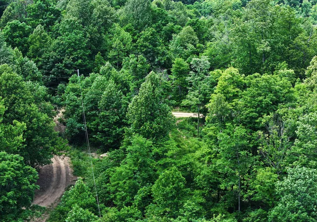 Photo 4 of Land for sale at Lot 1-11 0 Happy Top Rd, Irvine, KY 40336 | MLS# 26013971 | Listing updated on 2026-06-18
