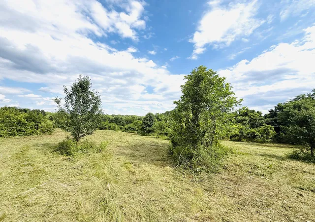 32nd image of 729 Oakland Ln, Harrodsburg, KY 40330 | MLS# 26014009