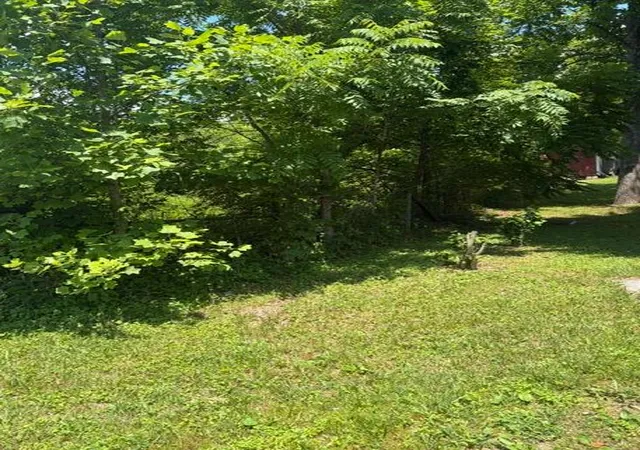Homes for sale in London, KY | 270 Mcfadden Cemetery Rd, London, KY 40744 | MLS# 26014033