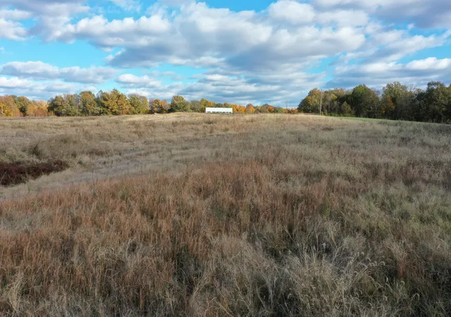 15th image of 0 Grubbs Rd, Clinton, KY 42031 | MLS# 26015471