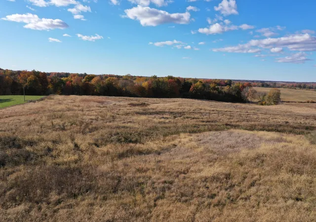4th image of 0 Grubbs Rd, Clinton, KY 42031 | MLS# 26015471