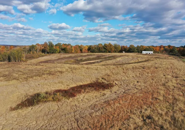 5th image of 0 Grubbs Rd, Clinton, KY 42031 | MLS# 26015471