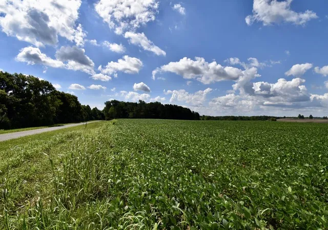 Homes for sale in Crofton, KY | 0 N Campbell Cemetery Rd, Crofton, KY 42217 | MLS# 26014059