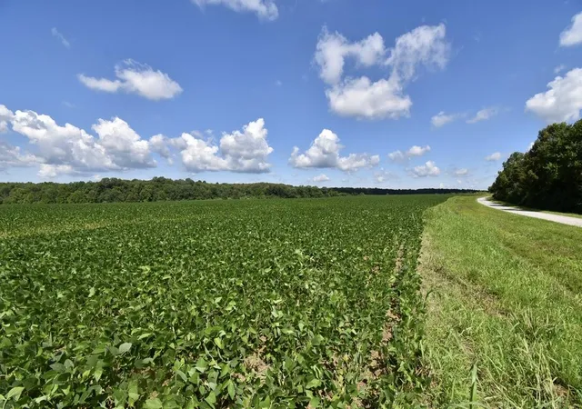 Homes for sale in Crofton, KY | 0 N Campbell Cemetery Rd, Crofton, KY 42217 | MLS# 26014059