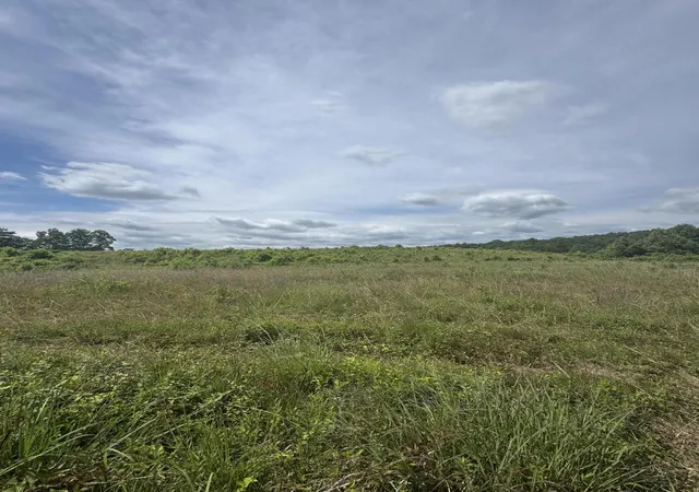 Photo 3 of Land for sale at 003 Kentucky 770, Williamsburg, KY 40769 | MLS# 26014157 | Listing updated on 2026-06-18