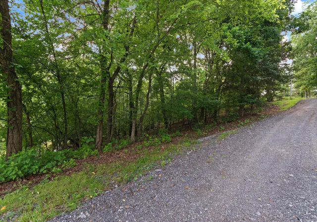 10th image of Lot 7 Donaldson Shores Dr, Cadiz, KY 42211 | MLS# 26017969