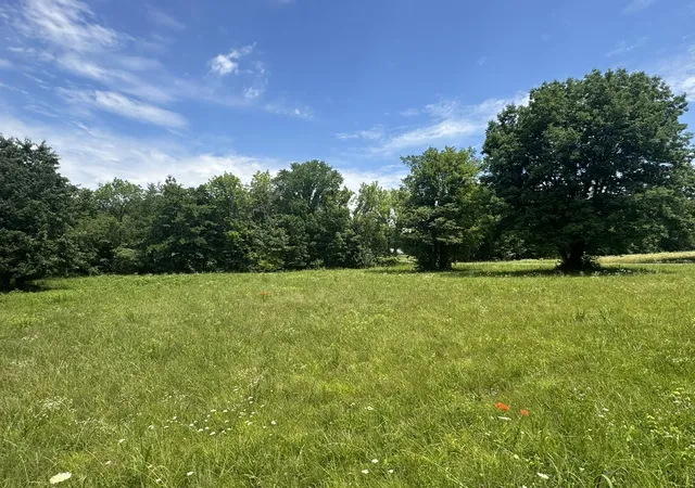 Photo 3 of Unimproved Land at Lots 1 & 2 Brentwood Dr, Paducah, KY 42003 | MLS# 26014520 | | Sold on 2026-07-10