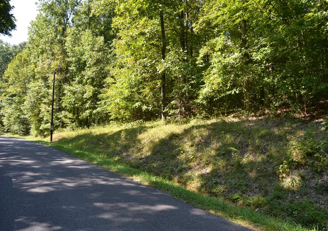 Homes for sale in Eddyville, KY | 1 Rolling Mills Rd, Eddyville, KY 42038 | MLS# 26014107