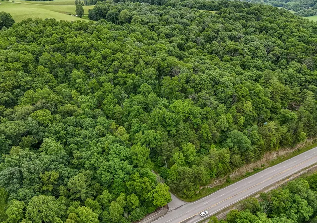 Homes for sale in Olive Hill, KY | 16596 W Us Hwy 60, Olive Hill, KY 41164 | MLS# 26014219