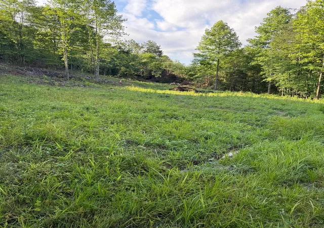 Homes for sale in Mc Kee, KY | 110 Dean Rd #Tract 1, Mc Kee, KY 40447 | MLS# 26014501