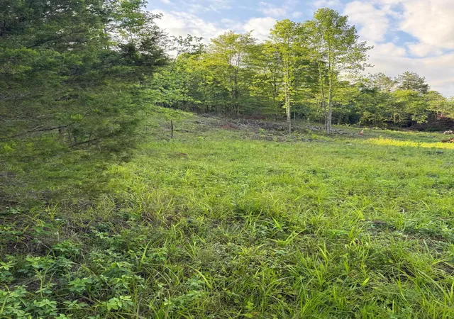 Homes for sale in Mc Kee, KY | 110 Dean Rd #Tract 1, Mc Kee, KY 40447 | MLS# 26014501