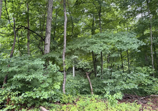 Homes for sale in Bronston, KY | Lot 3 George Hardwick Dr, Bronston, KY 42518 | MLS# 26014285