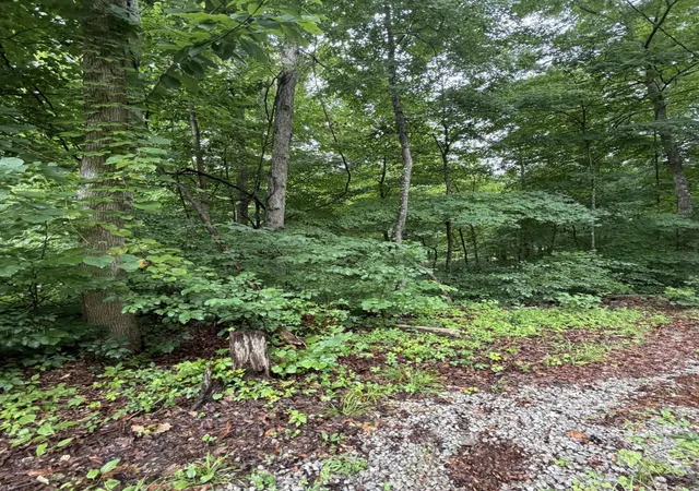 Homes for sale in Bronston, KY | Lot 3 George Hardwick Dr, Bronston, KY 42518 | MLS# 26014285