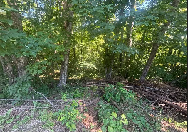 Homes for sale in Burnside, KY | 9999 Roberts Bend Rd, Burnside, KY 42519 | MLS# 26014346
