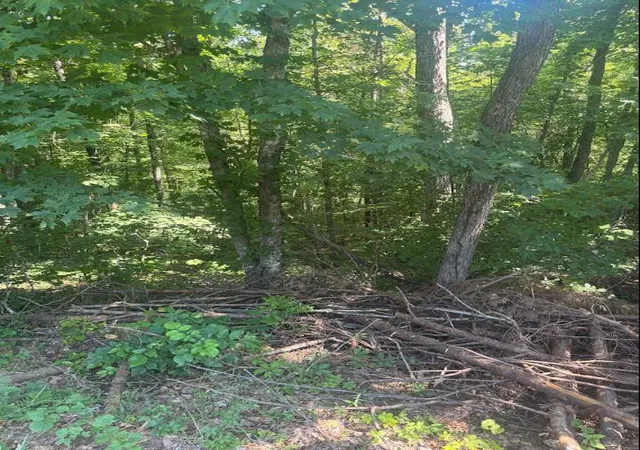 Photo 3 of Land for sale at 9999 Roberts Bnd Rd, Burnside, KY 42519 | MLS# 26014346 | Listing updated on 2026-10-03