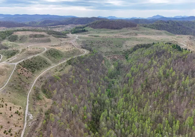 Homes for sale in Helton, KY | 00 Dryfork Rd Rd, Helton, KY 40840 | MLS# 26014336