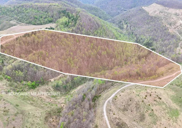 Homes for sale in Helton, KY | 00 Dryfork Rd Rd, Helton, KY 40840 | MLS# 26014336