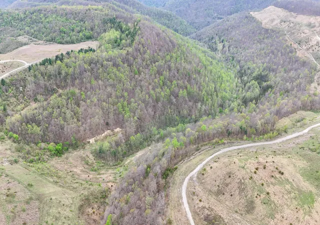 Homes for sale in Helton, KY | 00 Dryfork Rd Rd, Helton, KY 40840 | MLS# 26014336