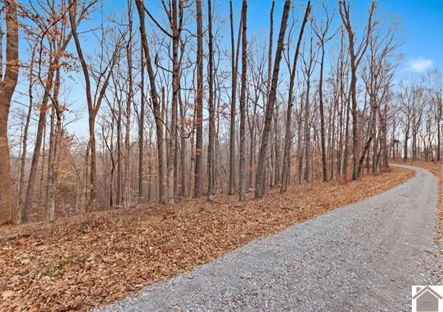 Homes for sale in Cadiz, KY | 000 0 Hurricane Cir Cir, Cadiz, KY 42211 | MLS# 26014959