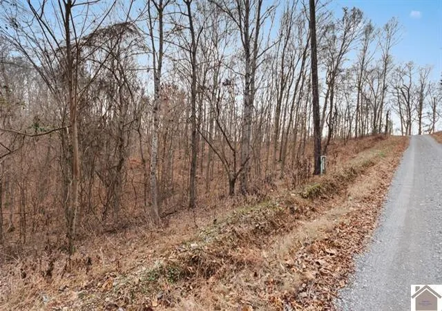 Homes for sale in Cadiz, KY | 000 0 Hurricane Cir Cir, Cadiz, KY 42211 | MLS# 26014959