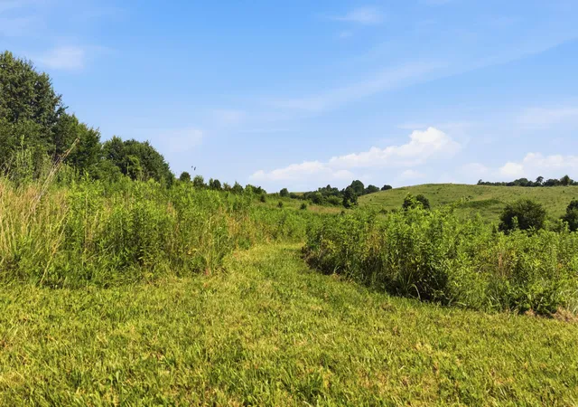 11th image of 435 Stone Rd #Lot A, Paris, KY 40361 | MLS# 26014952