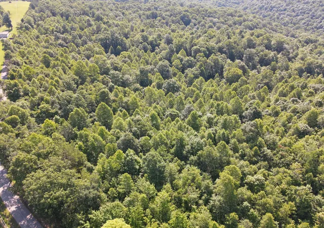 Photo 1 of Land for sale at 1407 Denton Phelps Rd, Somerset, KY 42501 | MLS# 26014904 | Listing updated on 2026-07-28