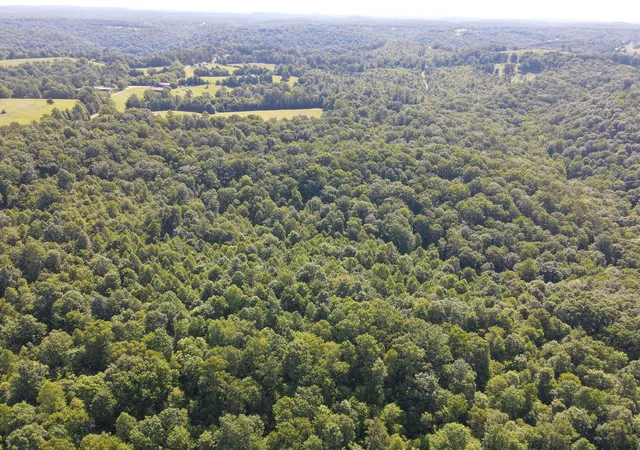 Photo 3 of Land for sale at 1407 Denton Phelps Rd, Somerset, KY 42501 | MLS# 26014904 | Listing updated on 2026-07-28