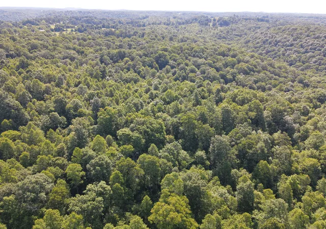 Photo 4 of Land for sale at 1407 Denton Phelps Rd, Somerset, KY 42501 | MLS# 26014904 | Listing updated on 2026-07-28