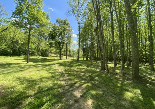 5th image of 231 Fintville Rd, Versailles, KY 40383 | MLS# 26017121