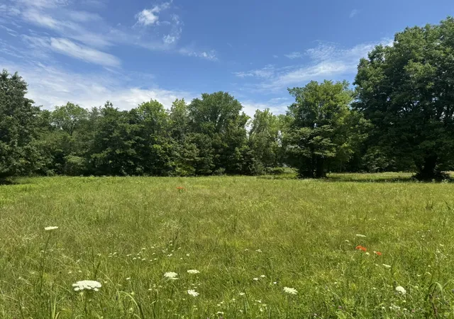 Photo 3 of Land for sale at 0 Brentwood Dr, Paducah, KY 42003 | MLS# 26014539 | Listing updated on 2026-06-23