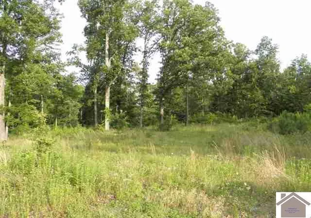 Homes for sale in Benton, KY | Lot 33 Woodridge Dr, Benton, KY 42025 | MLS# 26017620