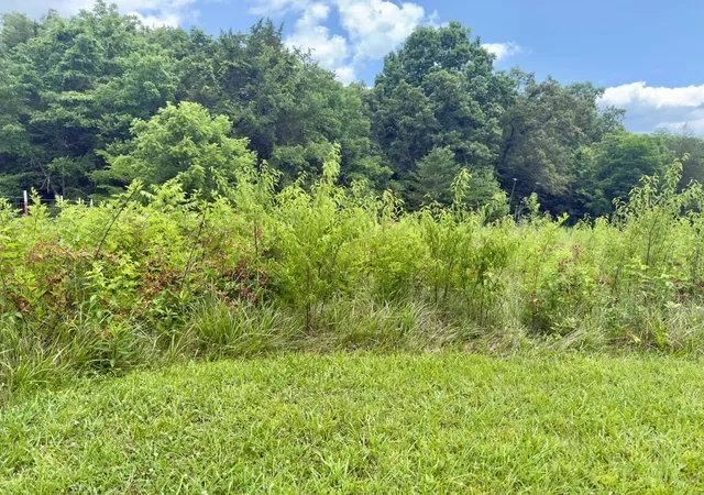 Homes for sale in Monticello, KY | 10113 Kentucky 92, Monticello, KY 42633 | MLS# 26014817