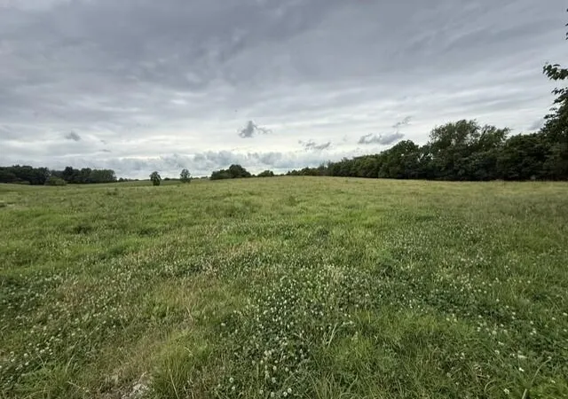 2nd image of 665 Lillies Ferry Rd, Winchester, KY 40391 | MLS# 26014623