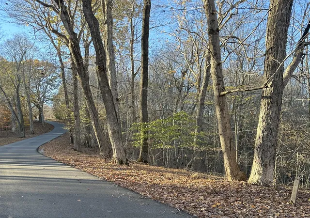 Homes for sale in Eddyville, KY | Lot 56 And Lot 57 Lisanby Rd, Eddyville, KY 42038 | MLS# 26017675