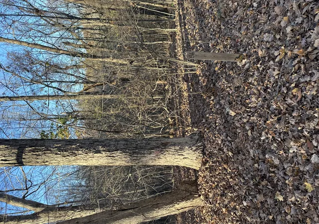 Homes for sale in Eddyville, KY | Lot 56 And Lot 57 Lisanby Rd, Eddyville, KY 42038 | MLS# 26017675