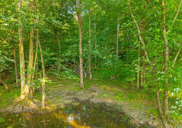 4th image of Lot 87 Periwinkle Hill Rd, Cadiz, KY 42211 | MLS# 26015529