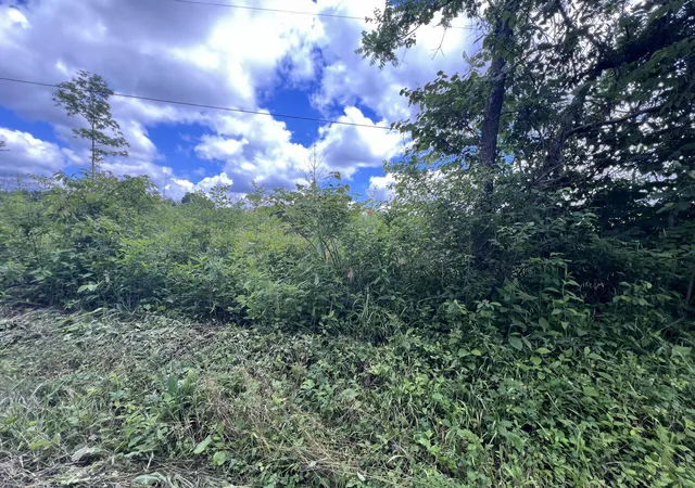 Homes for sale in Somerset, KY | 0001 S Coal Pit Rd, Somerset, KY 42501 | MLS# 26014702