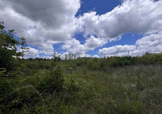 Photo 3 of Land for sale at 0001 S Coal Pit Rd, Somerset, KY 42501 | MLS# 26014702 | Listing updated on 2026-09-26