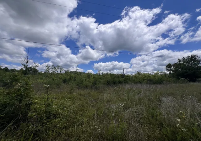 Photo 4 of Land for sale at 0001 S Coal Pit Rd, Somerset, KY 42501 | MLS# 26014702 | Listing updated on 2026-09-26