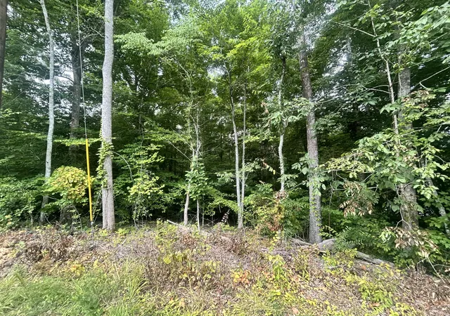 Homes for sale in Whitley City, KY | Tract 68-70 Cd Dogwood Dr, Whitley City, KY 42653 | MLS# 26016564